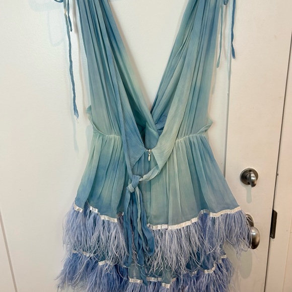 Dana Foley | Sold out two-tiered feather dress - Picture 4 of 7